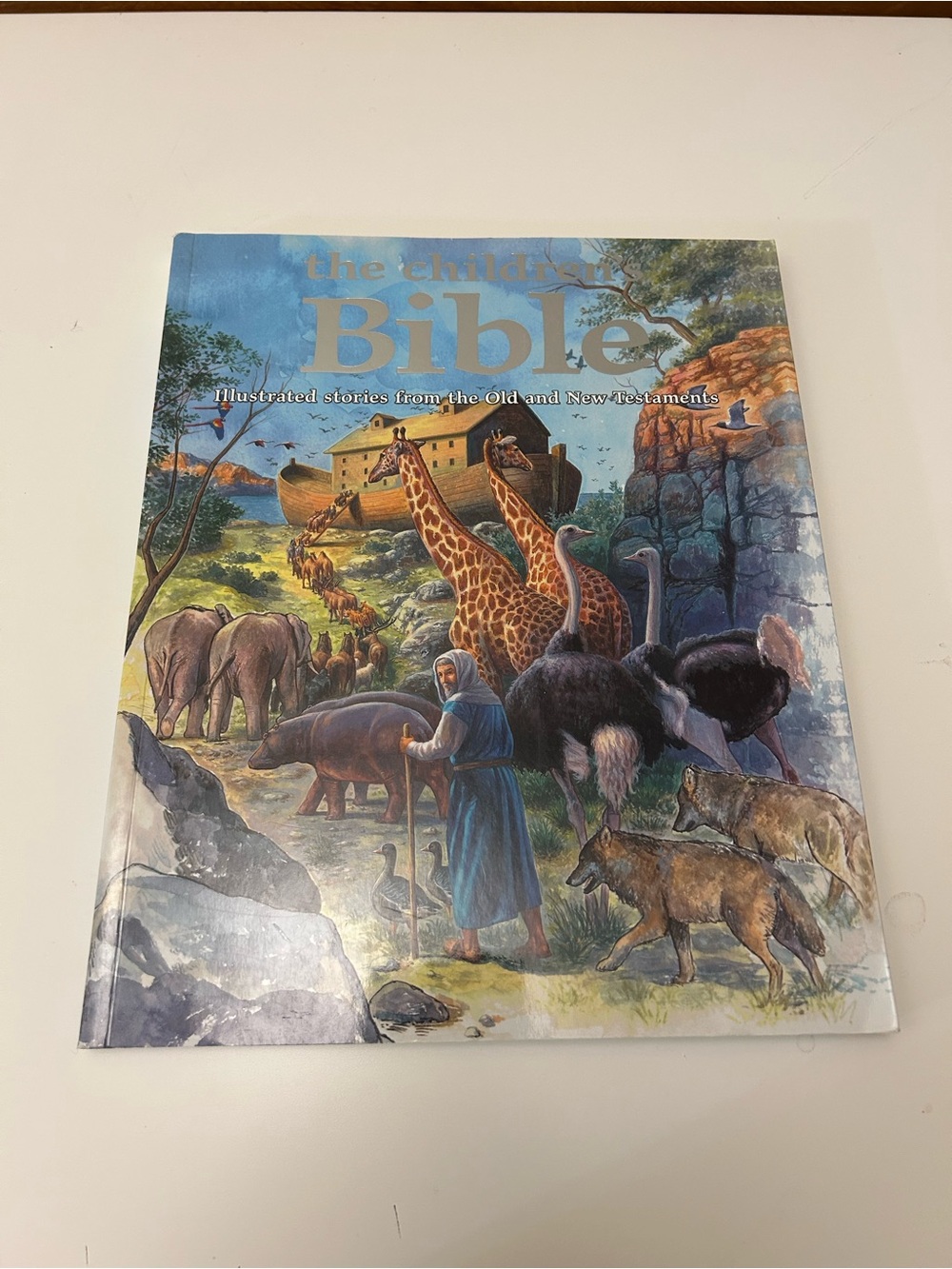 The Children's Bible Illustrated Wall Art - Blue Cover